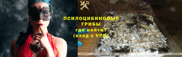 индика Алексеевка