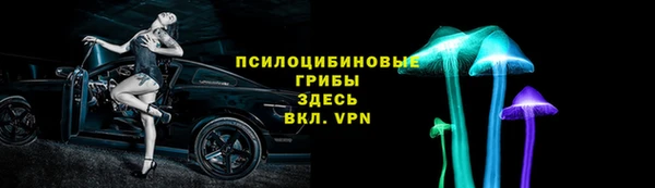 индика Алексеевка