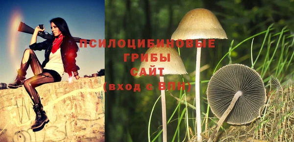 синтетический гашиш Саяногорск